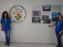 2017. Jornadas Proyectos