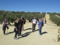 2015-11-22 (08)