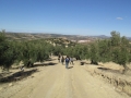 2015-11-22 (09)